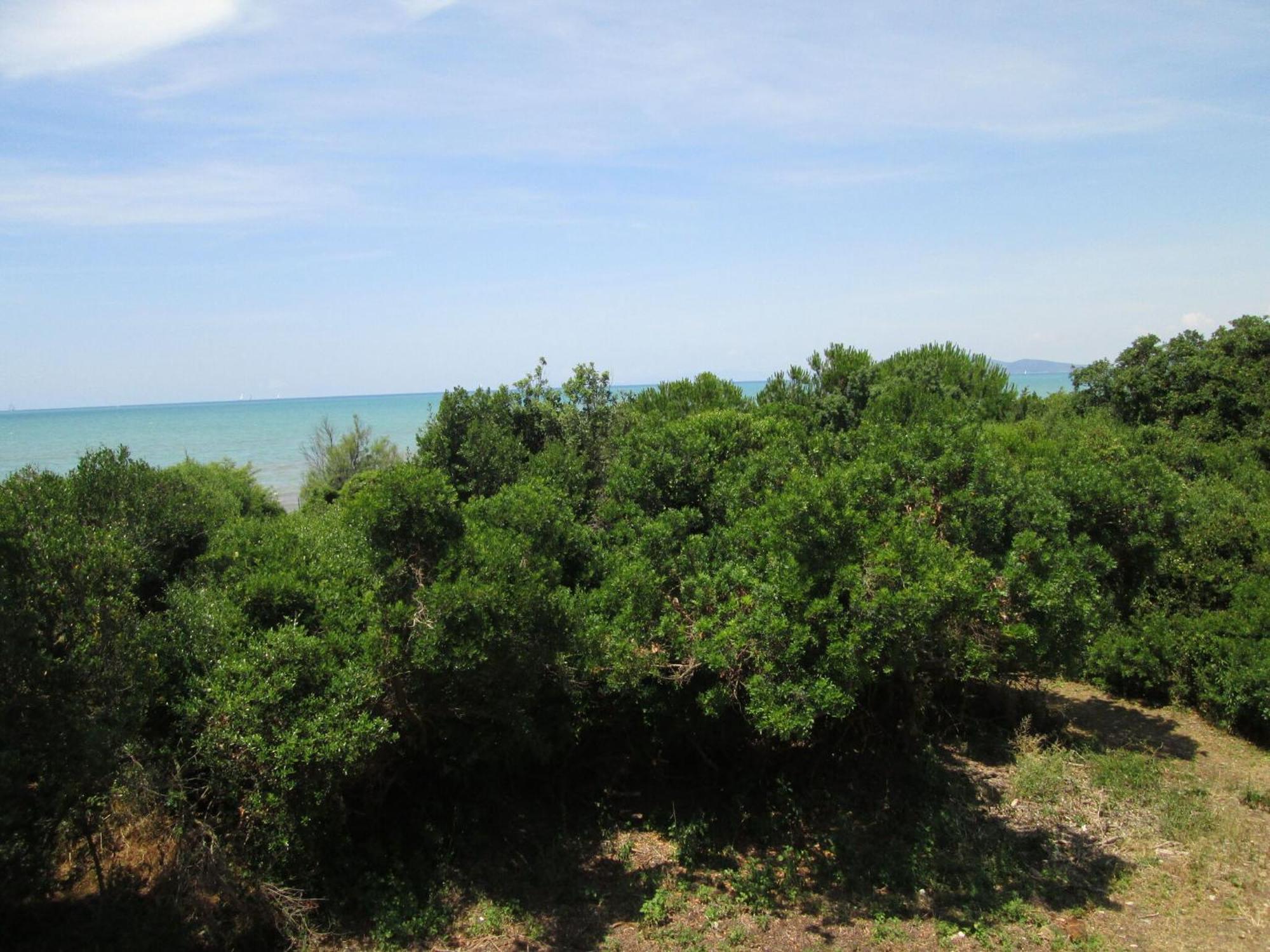 Giannella Holiday Apartament Santa Liberata Esterno foto